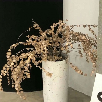 兽设原创改稿思路FurryQQ群